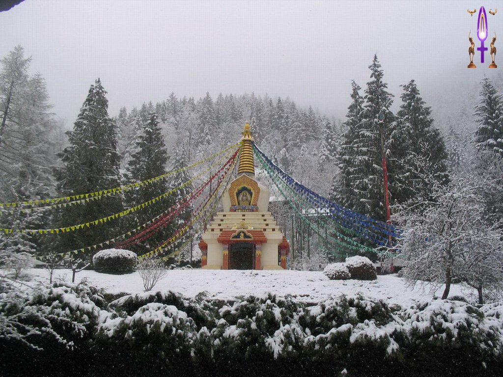 Croix de Lumière, Photo de la Série D No 81 