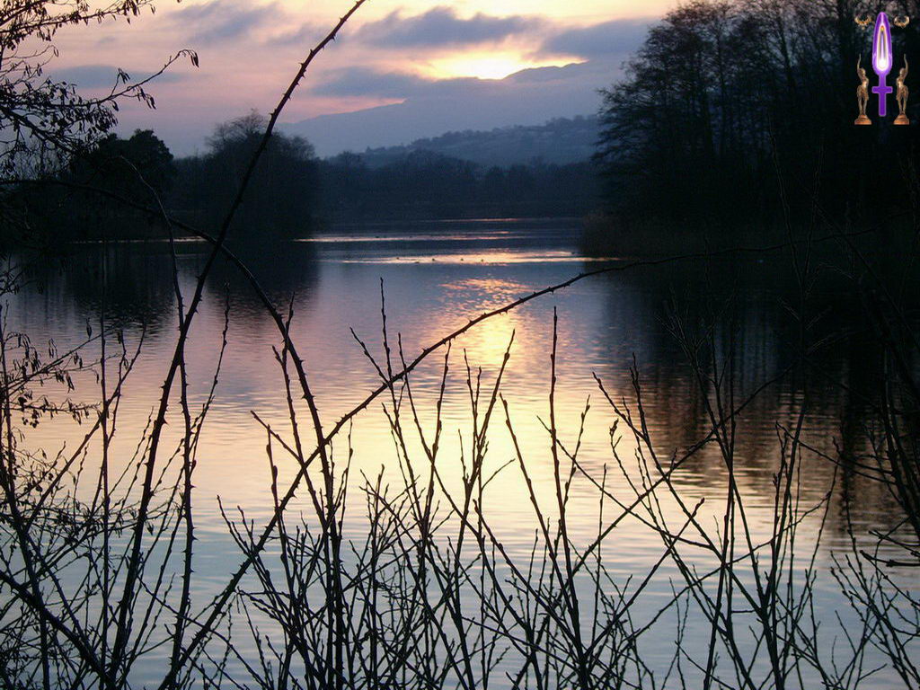 Croix de Lumière, Photo de la Série D No 87 