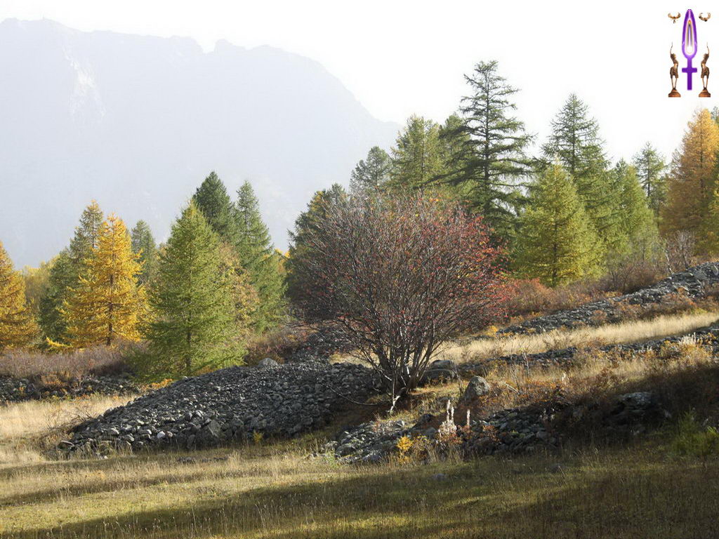 Croix de Lumière, Photo de la Série D No 88 