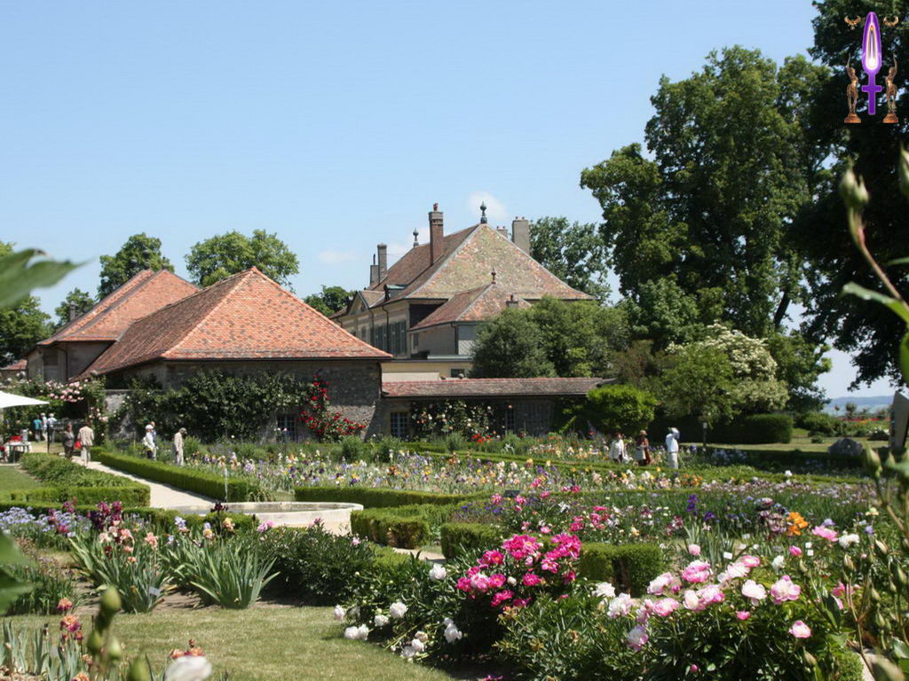 Croix de Lumière, Photo de la Série D No 93 