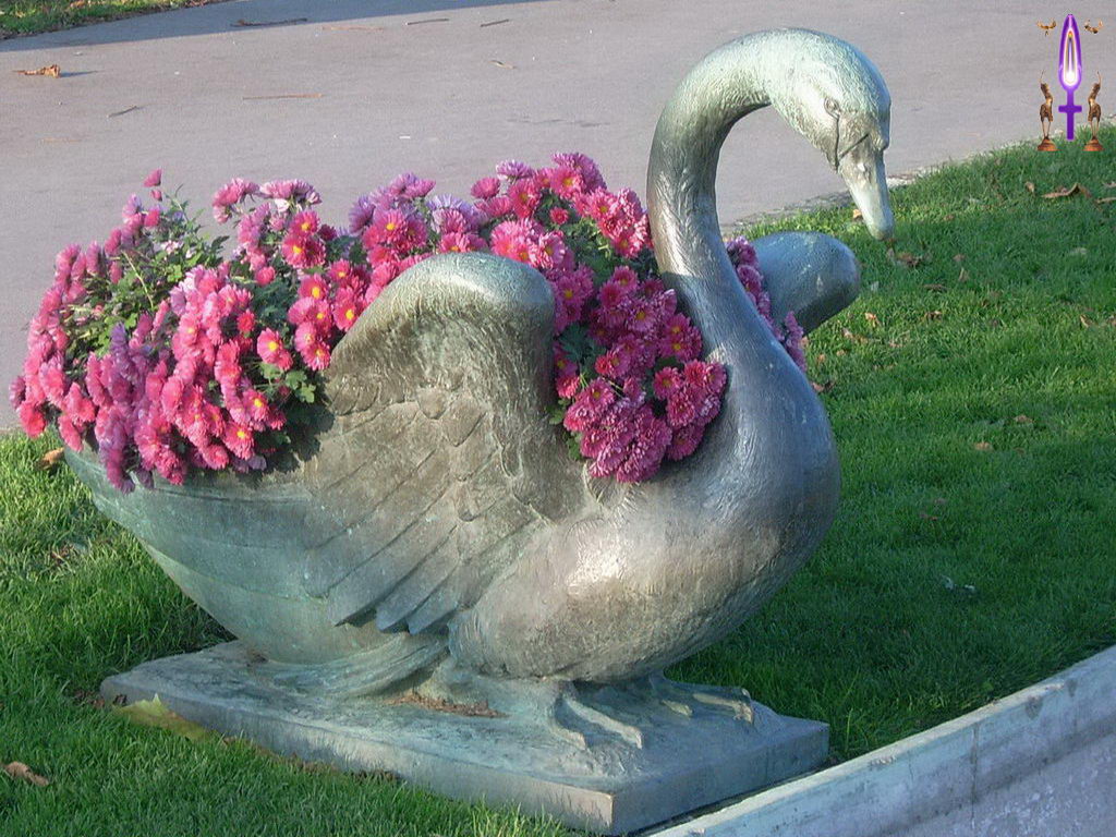 Croix de Lumière, Photo de la Série D No 100 