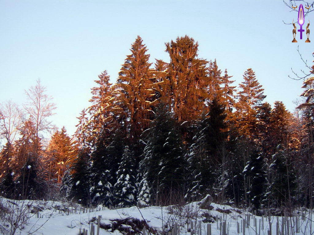 Croix de Lumière, Photo de la Série D No 106 
