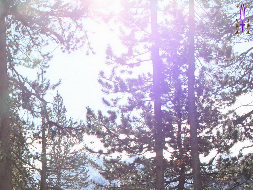 Croix de Lumière, Photo de la Série D No 107 