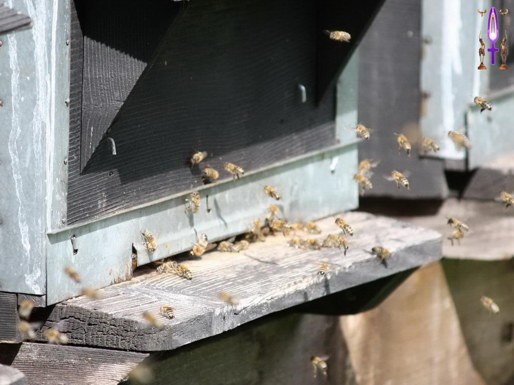 Croix de Lumière, Photo de la Série E No 45 