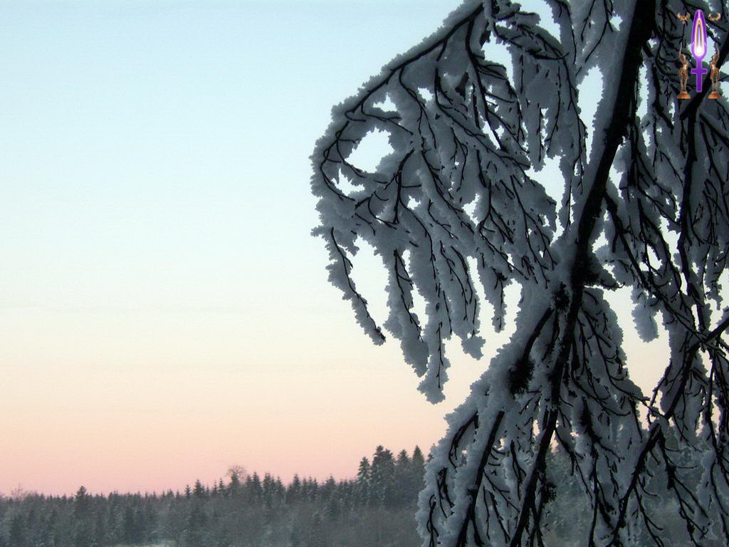Croix de Lumière, Photo de la Série E No 49 
