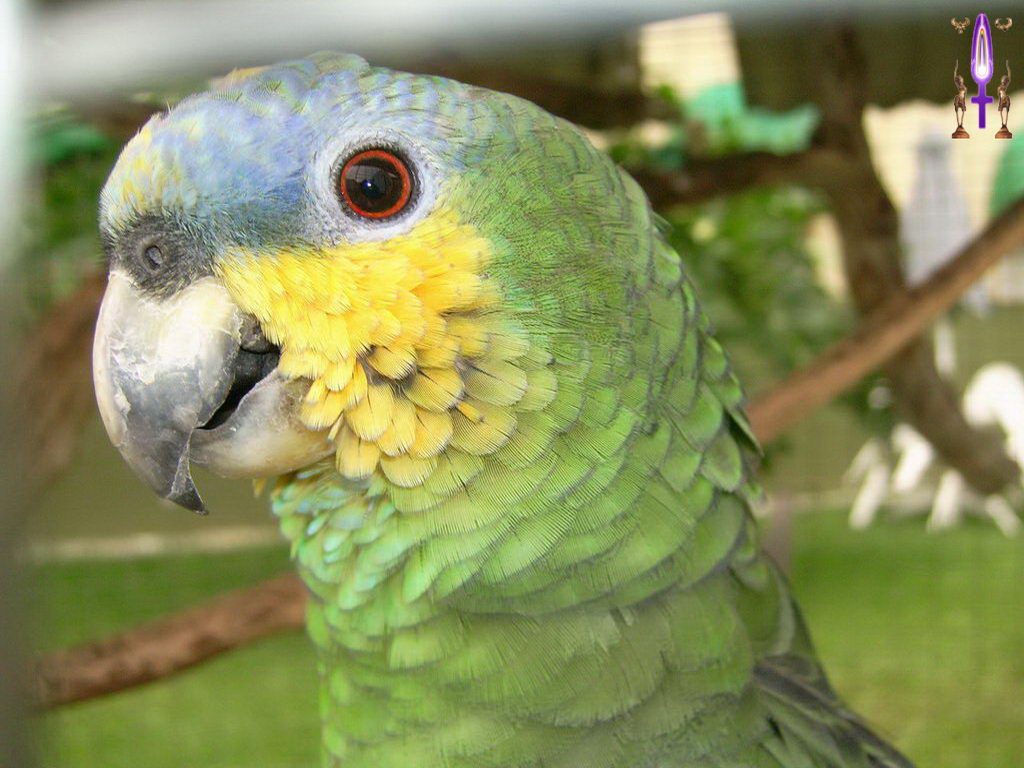 Croix de Lumière, Photo de la Série E No 56 