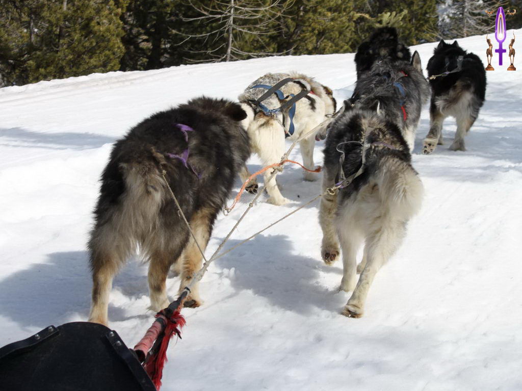 Croix de Lumière, Photo de la Série E No 64 