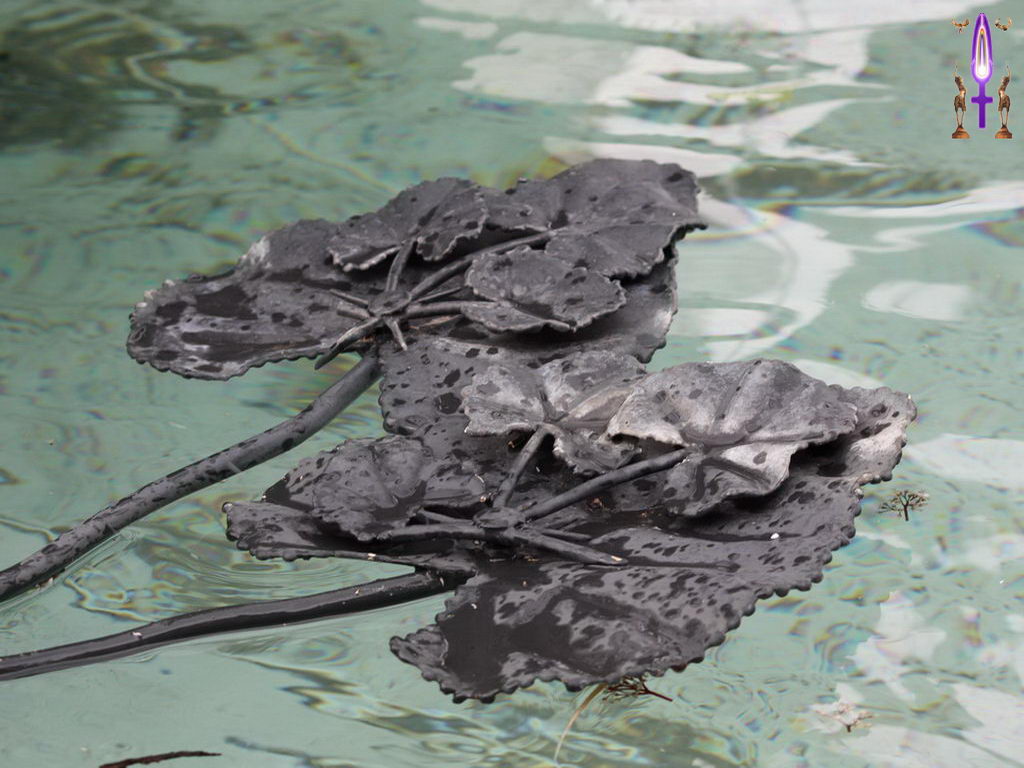 Croix de Lumière, Photo de la Série E No 74 