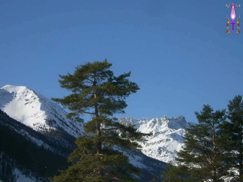 Croix de Lumière, Photo de la Série E No 83 