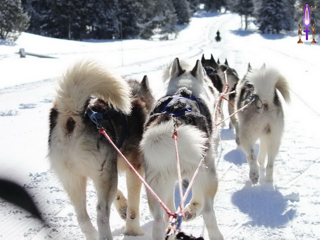 Croix de Lumière, Photo de la Série E No 93 