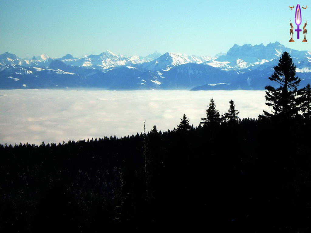Croix de Lumière, Photo de la Série F No 19 