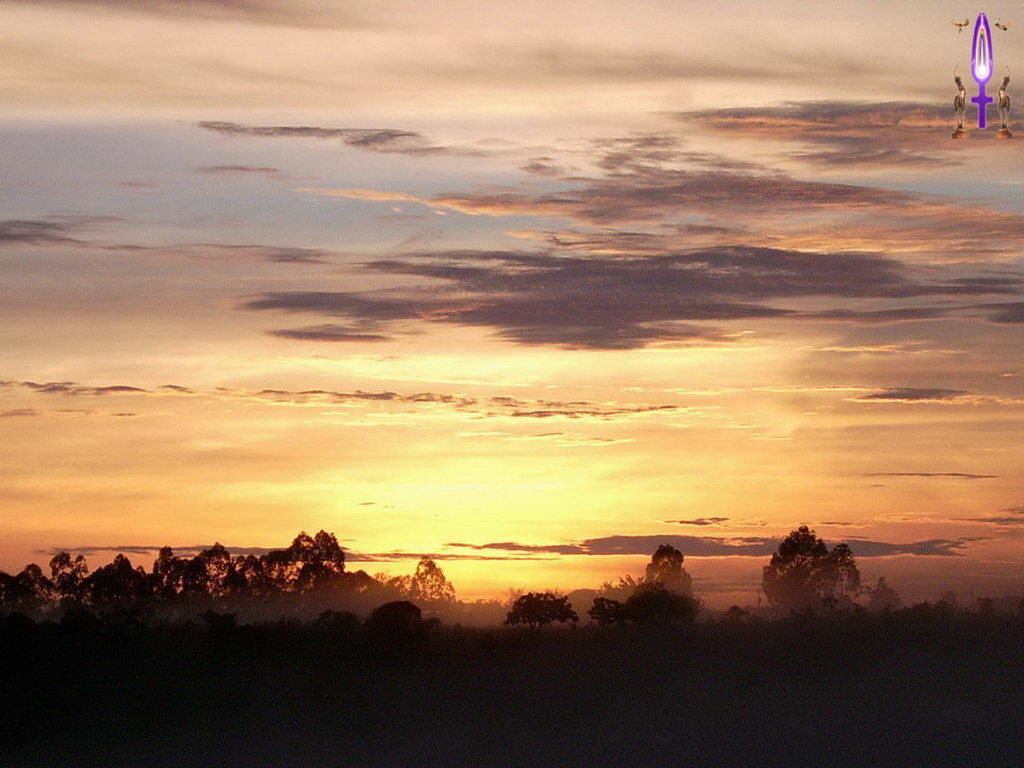 Croix de Lumière, Photo de la Série F No 91 
