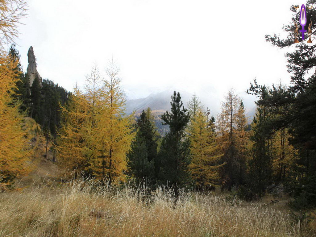 Croix de Lumière, Photo de la Série G No 8 