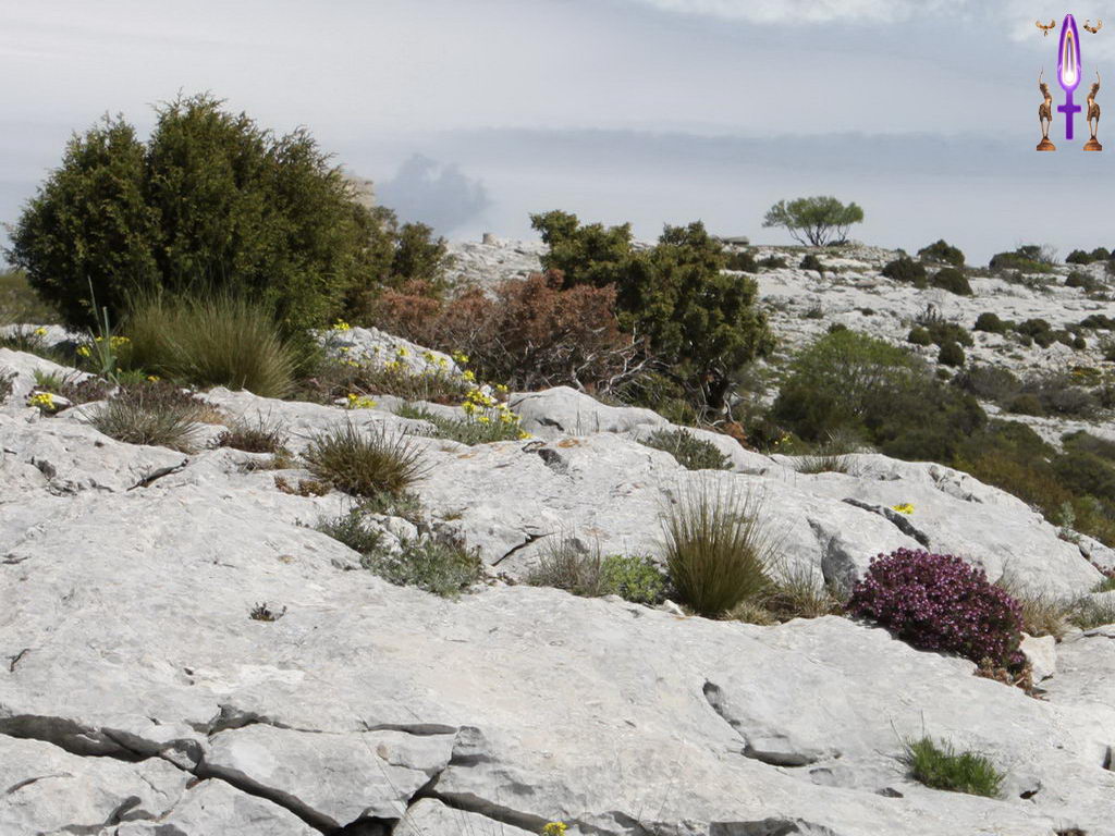 Croix de Lumière, Photo de la Série G No 010 