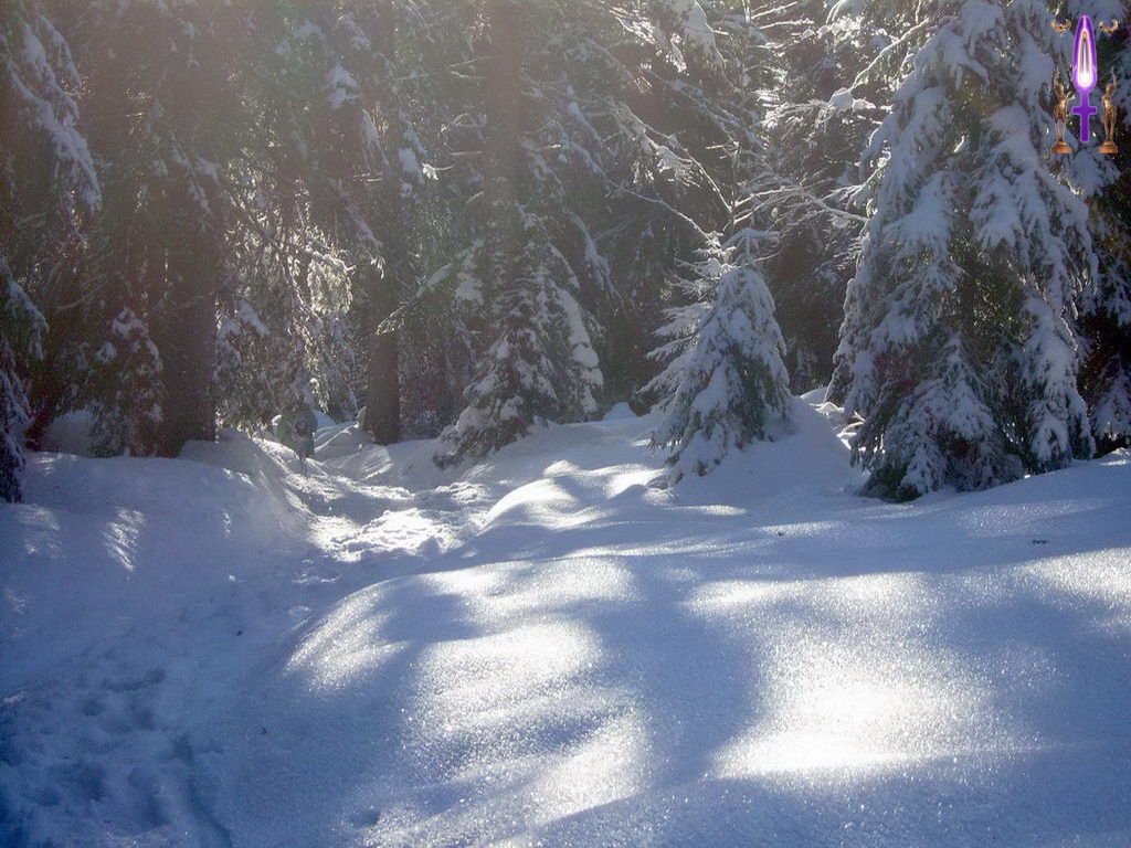 Croix de Lumière, Photo de la Série G No 22 