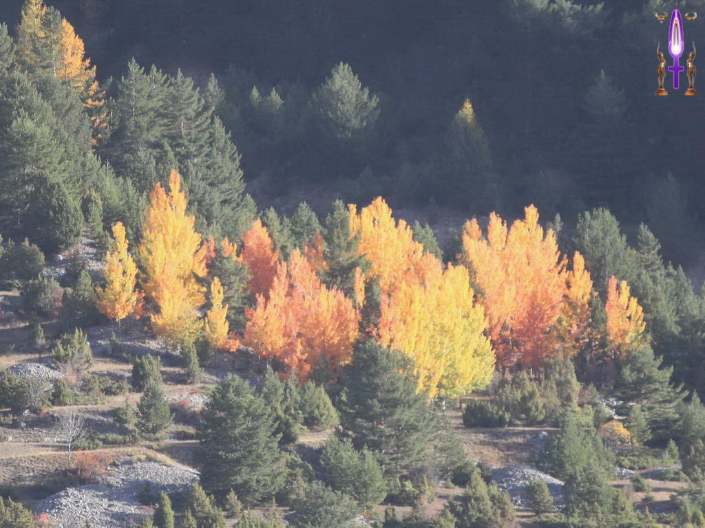 Croix de Lumière, Photo de la Série G No 29 