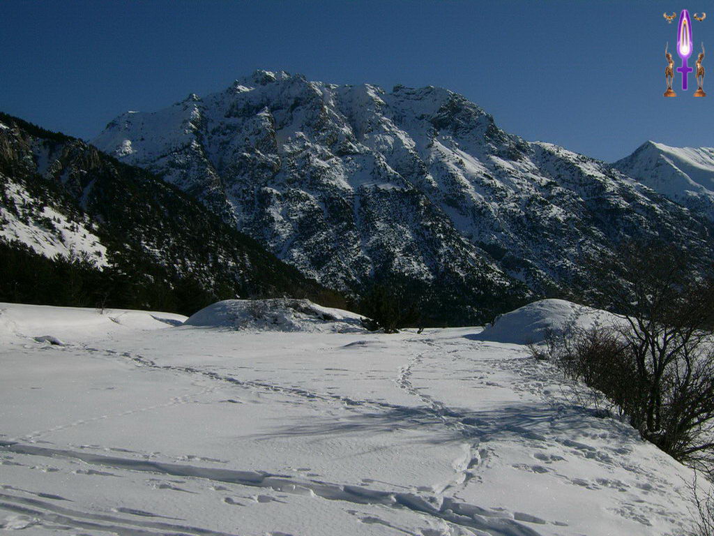 Croix de Lumière, Photo de la Série G No 31 