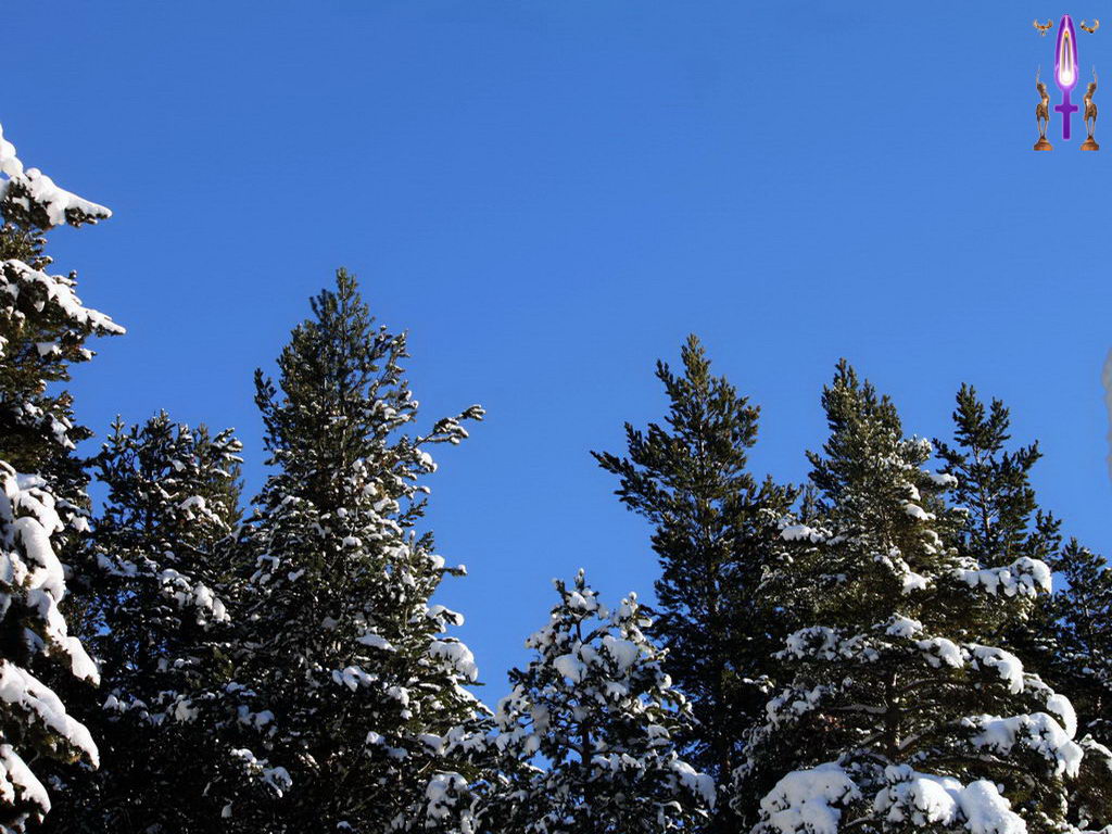 Croix de Lumière, Photo de la Série G No 51 