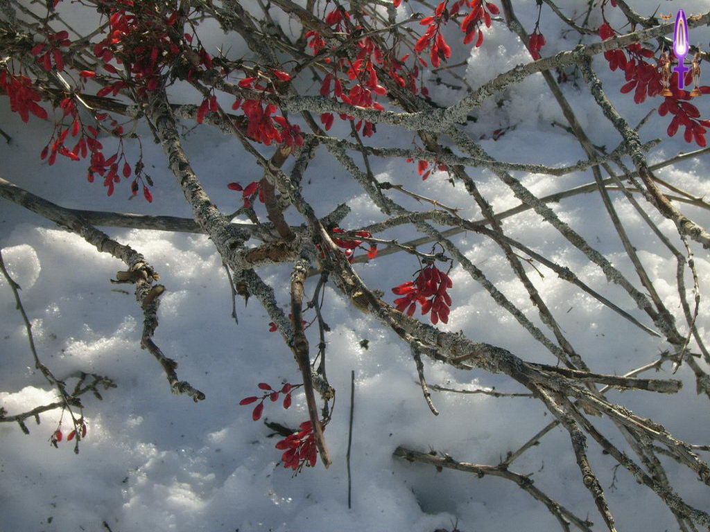 Croix de Lumière, Photo de la Série G No 54 