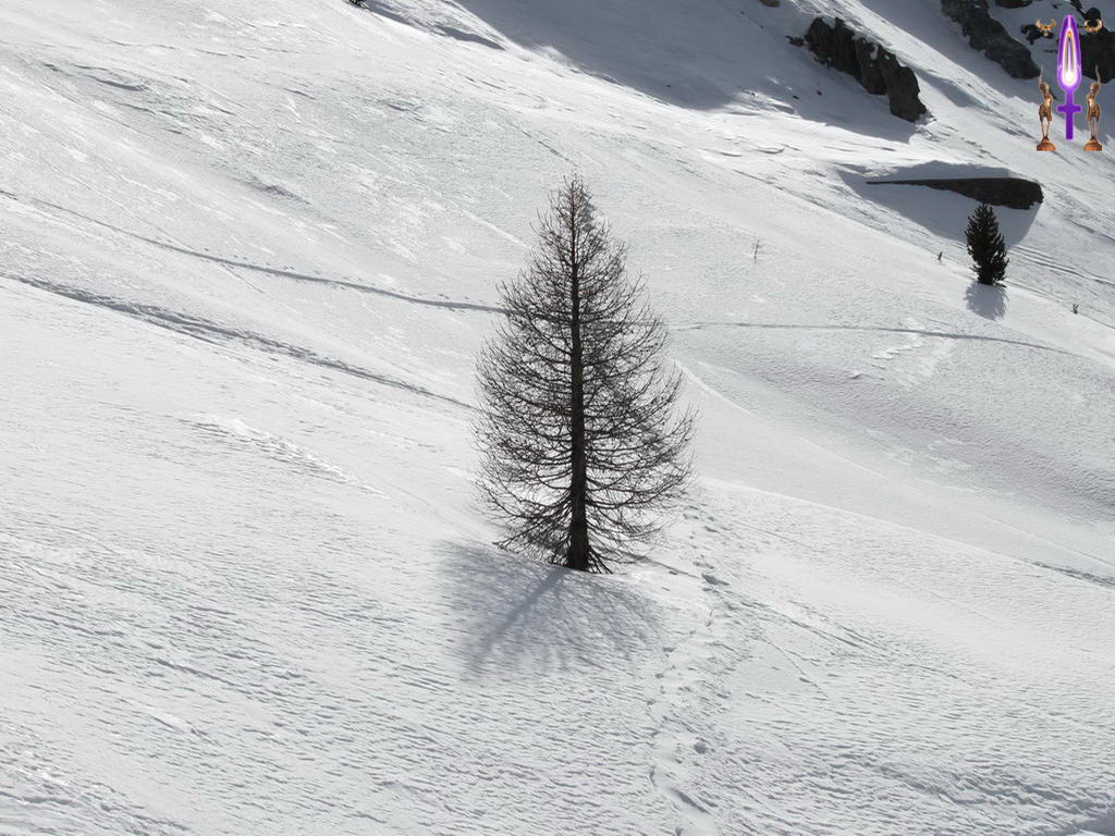 Croix de Lumière, Photo de la Série G No 010 