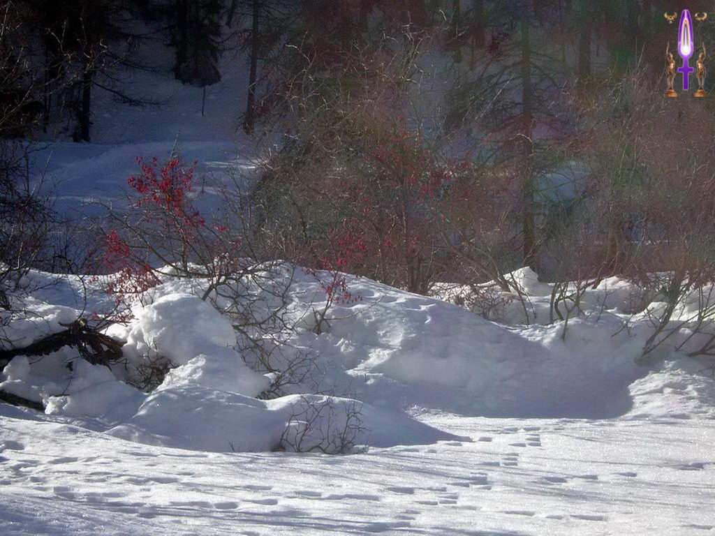 Croix de Lumière, Photo de la Série G No 66 