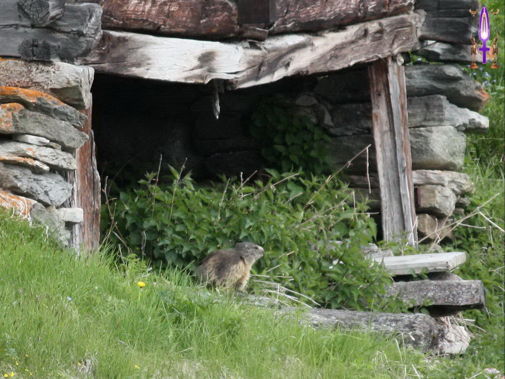 Croix de Lumière, Photo de la Série G No 86 