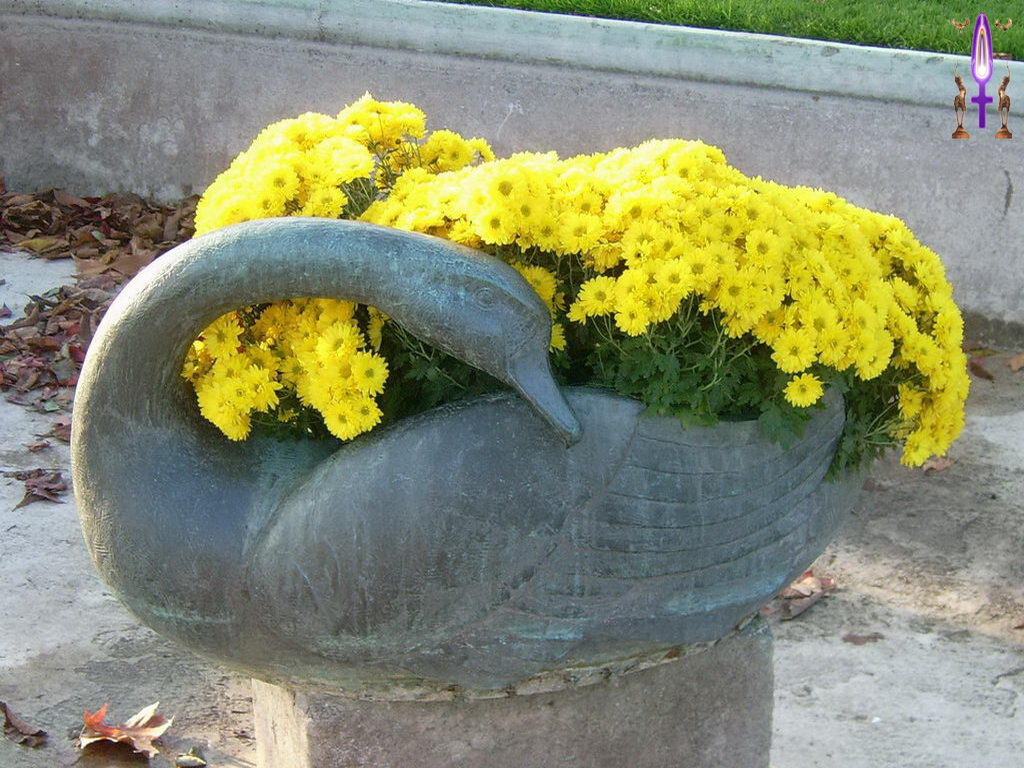 Croix de Lumière, Photo de la Série G No 93 