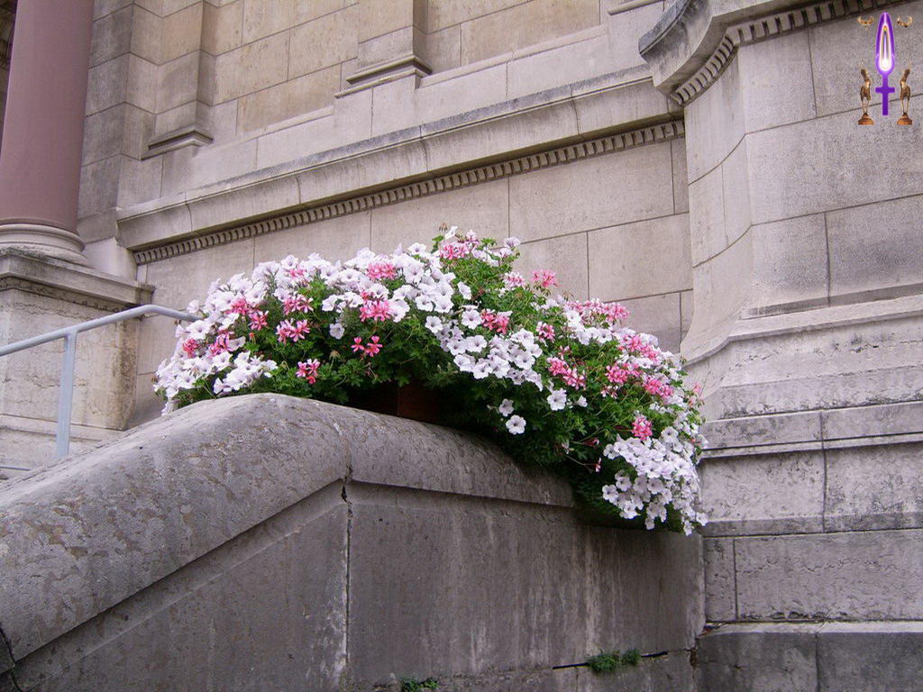 Croix de Lumière, Photo de la Série G No 97 