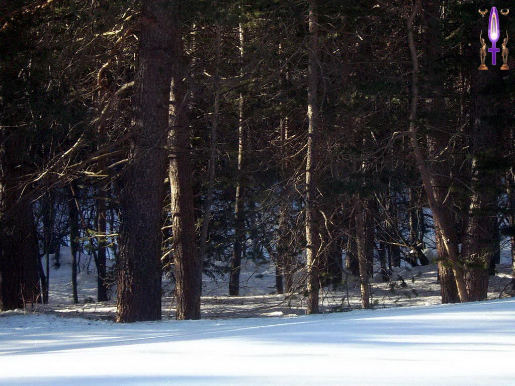 Croix de Lumière, Photo de la Série G No 102 