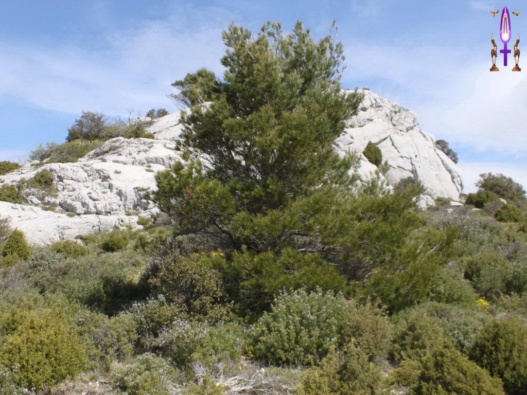 Croix de Lumière, Photo de la Série G No 103 