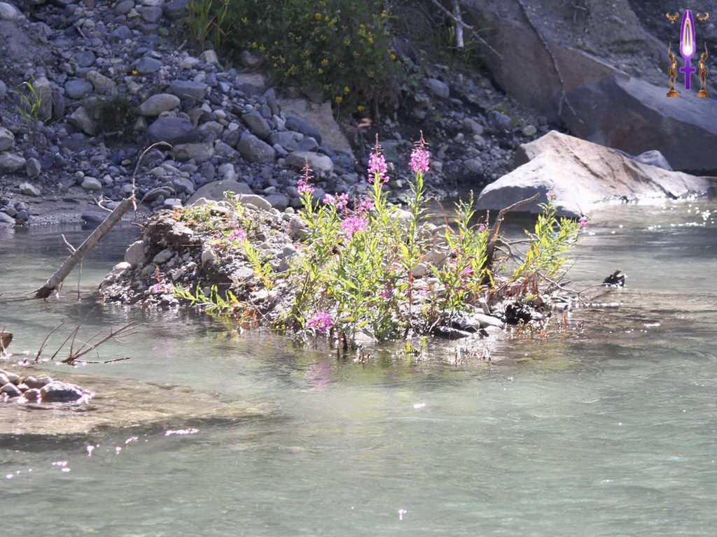 Croix de Lumière, Photo de la Série H No 65 