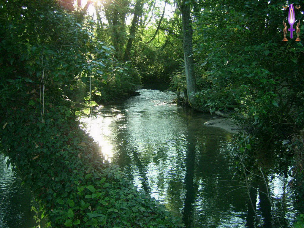 Croix de Lumière, Photo de la Série H No 81 