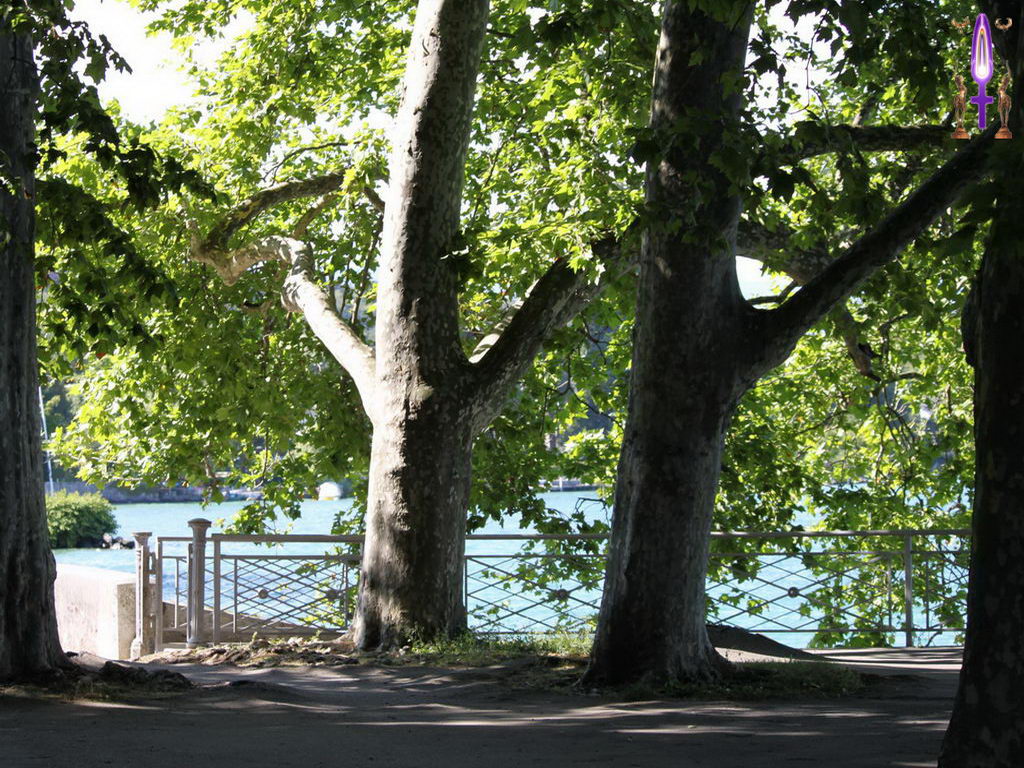 Croix de Lumière, Photo de la Série H No 87 