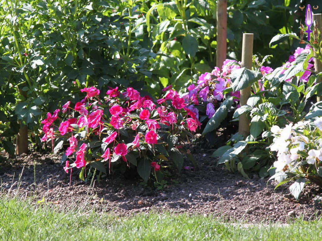 Croix de Lumière, Photo de la Série H No 89 