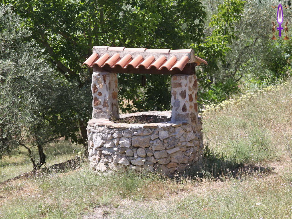 Croix de Lumière, Photo de la Série H No 96 