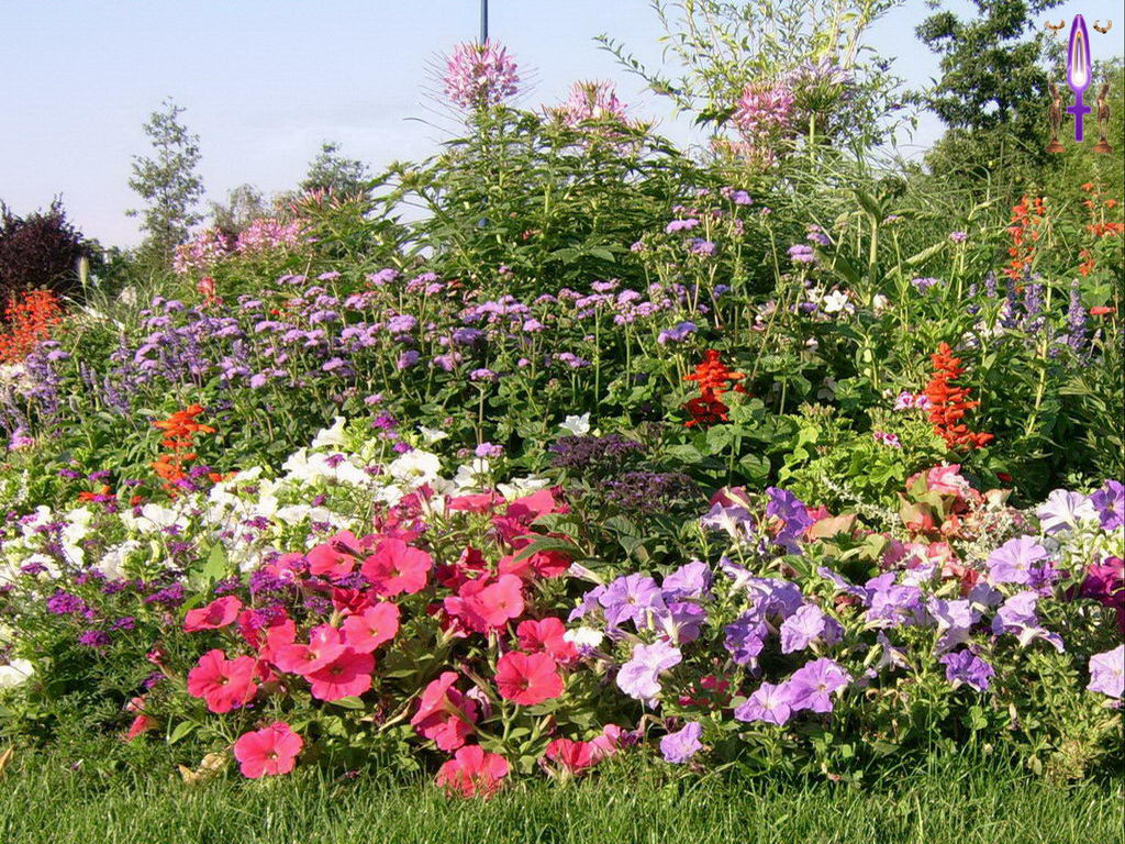 Croix de Lumière, Photo de la Série H No 108 