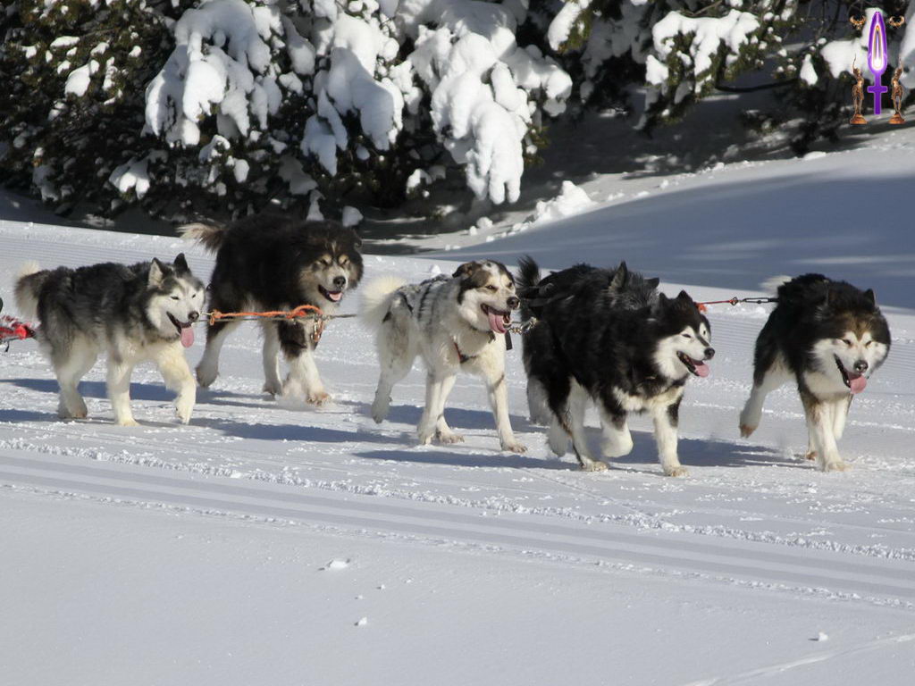 Cliquez sur la Photo pour quitter le Diaporama et Ouvrir la Photo correspondante...