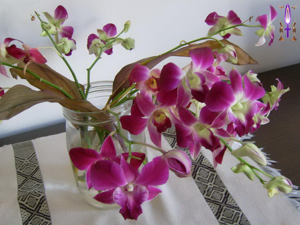 Croix de Lumière, Photo de la Série I No 40 