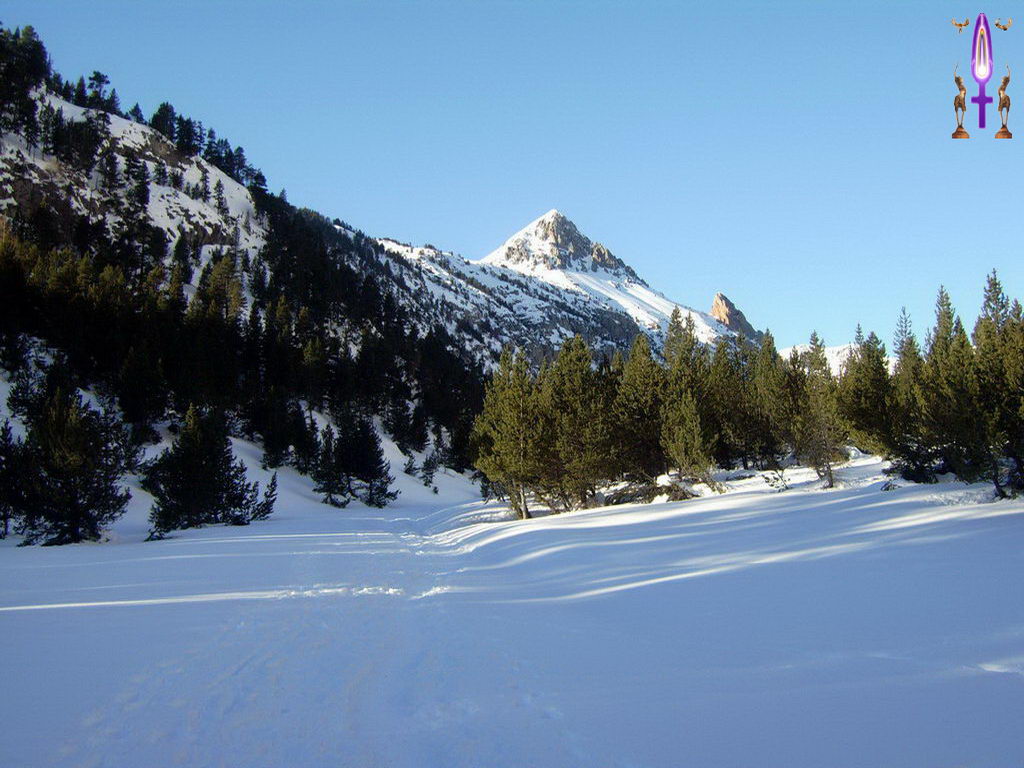 Croix de Lumière, Photo de la Série I No 43 