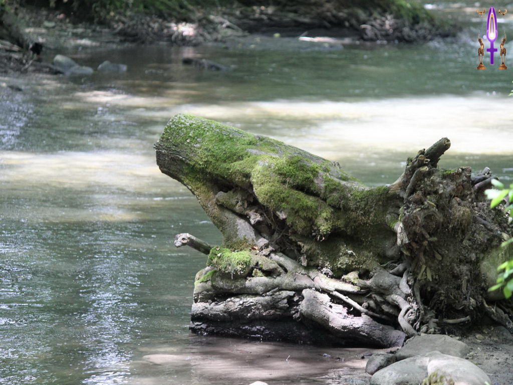 Croix de Lumière, Photo de la Série I No 58 