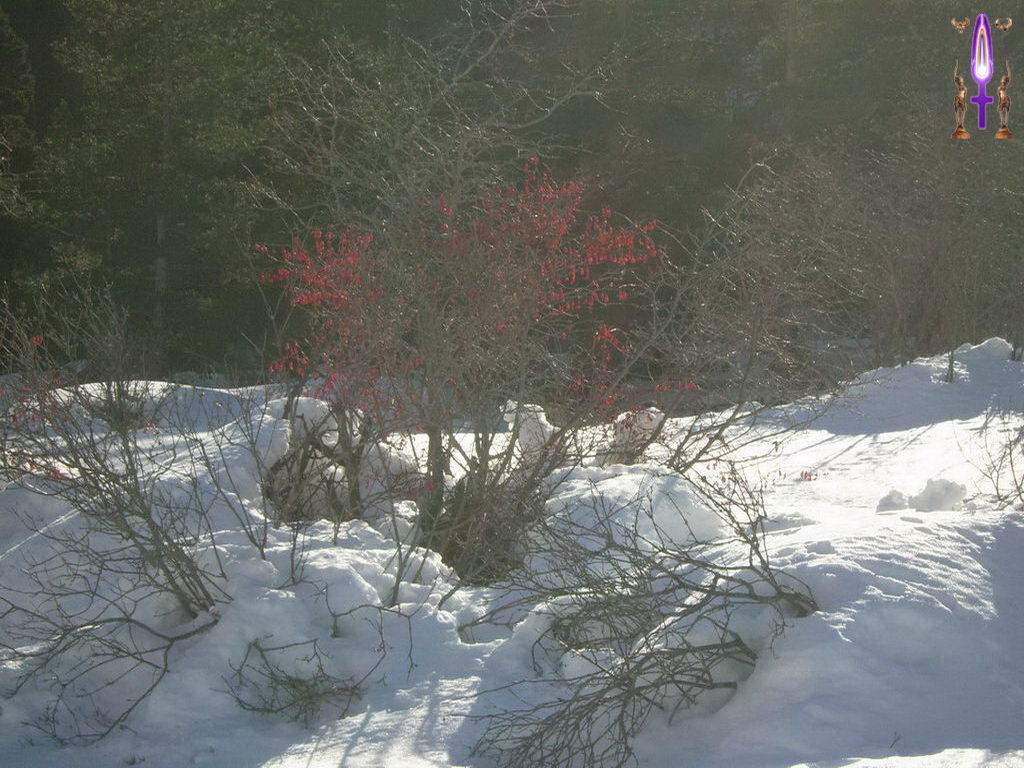 Croix de Lumière, Photo de la Série I No 68 