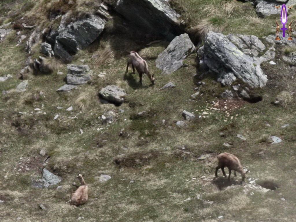 Croix de Lumière, Photo de la Série I No 86 