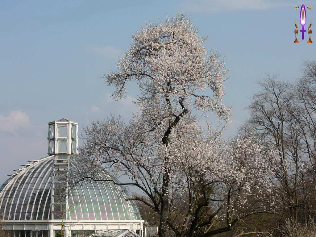 Cliquez sur la Photo pour quitter le Diaporama et Ouvrir la Photo correspondante...
