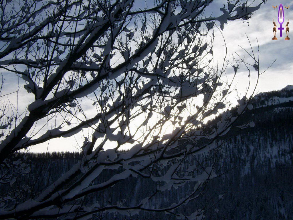 Croix de Lumière, Photo de la Série I No 102 