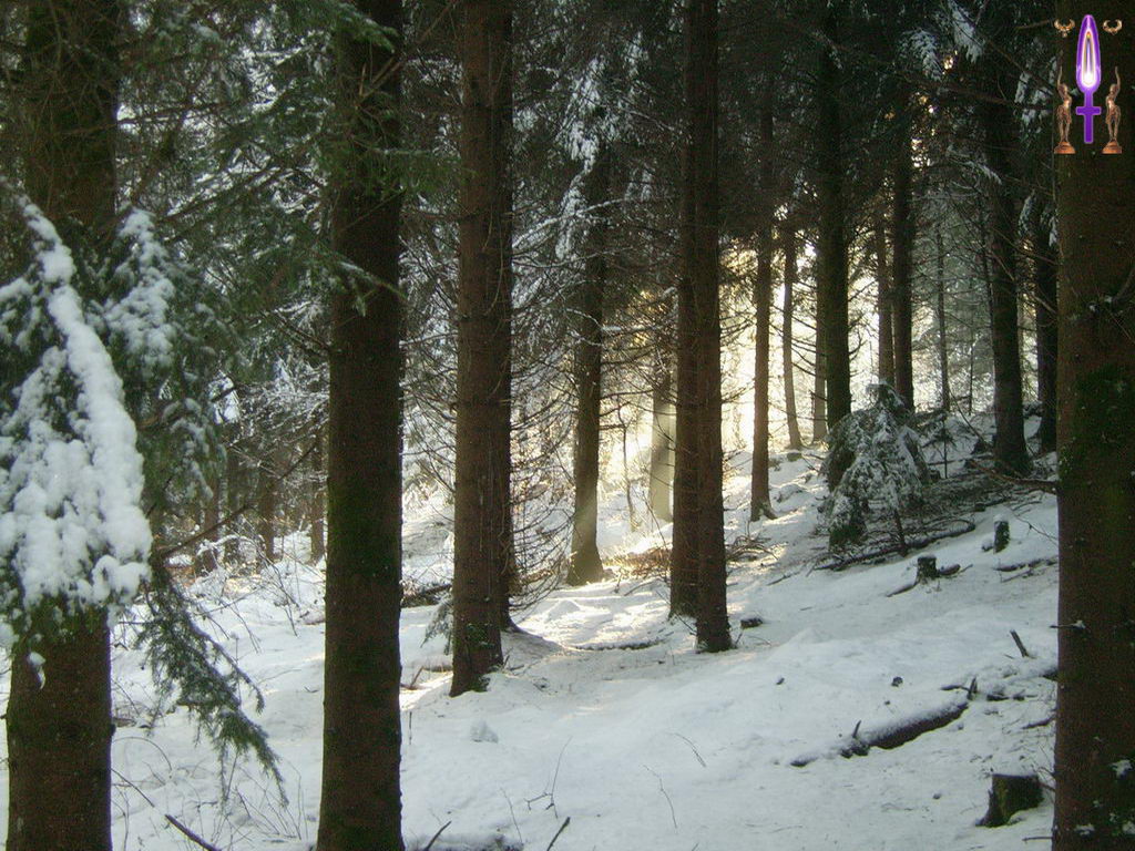 Cliquez sur la Photo pour quitter le Diaporama et Ouvrir la Photo correspondante...