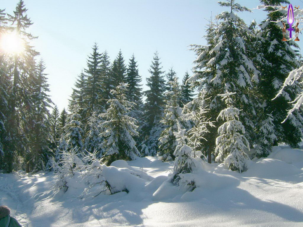 Cliquez sur la Photo pour quitter le Diaporama et Ouvrir la Photo correspondante...