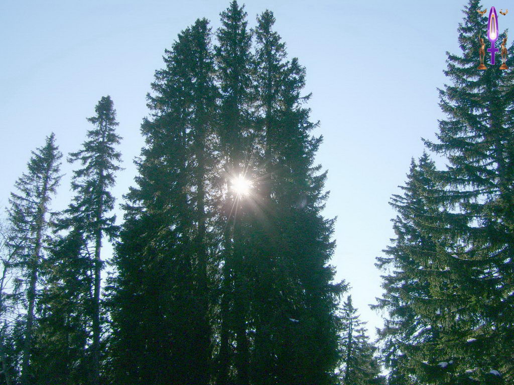 Cliquez sur la Photo pour quitter le Diaporama et Ouvrir la Photo correspondante...