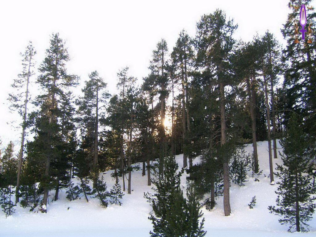 Croix de Lumière, Photo de la Série J No 42 