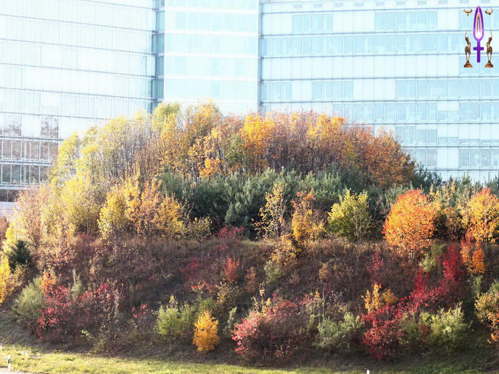 Croix de Lumière, Photo de la Série J No 43 