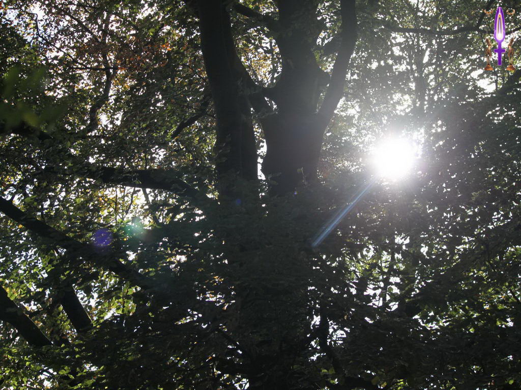 Croix de Lumière, Photo de la Série J No 47 